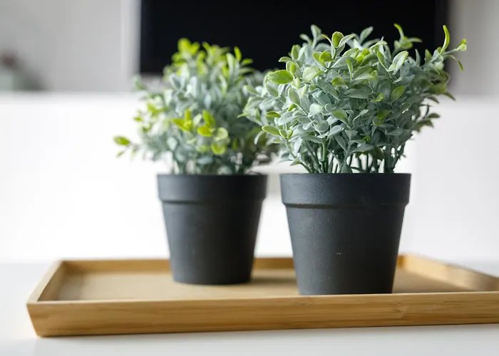 Apartmán K39 Deluxe By Uniquerent Vratislav