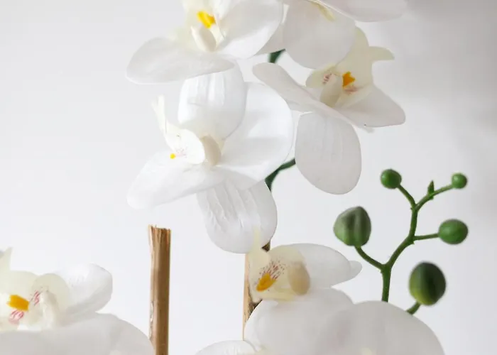 K39 Deluxe By Uniquerent Apartmán