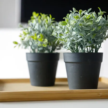 Apartment K39 Deluxe By Uniquerent Breslau